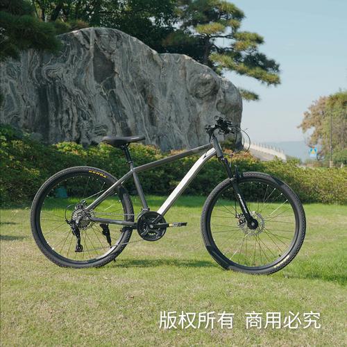 凤凰官方旗舰店内走线山地自行车成年人变速单车青少年学生